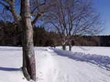 Místní komunikace:-) (Sobota 28.1.2006 11:50, ID=9204, 82 kB)