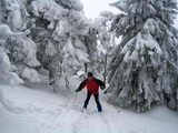 Smrt v očích a hurá dolů:) (Neděle 26.2.2006 11:36, ID=10635, 72 kB)