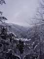 Sobota 25.2.2006 9:40, ID=10663, 70 kB