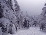 Neděle 26.2.2006 11:22, ID=10672, 57 kB
