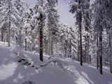 Pondělí 27.2.2006 12:02, ID=10697, 87 kB