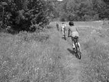 Sobota 17.6.2006 13:31, ID=10953, 52 kB