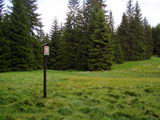 Sobota 17.6.2006 15:23, ID=10914, 85 kB