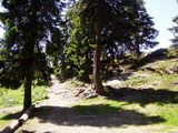 Neděle 18.6.2006 11:46, ID=10938, 104 kB