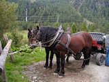 Přibližovadlo za mnoho eur (Úterý 26.9.2006 8:33, ID=12420, 102 kB)