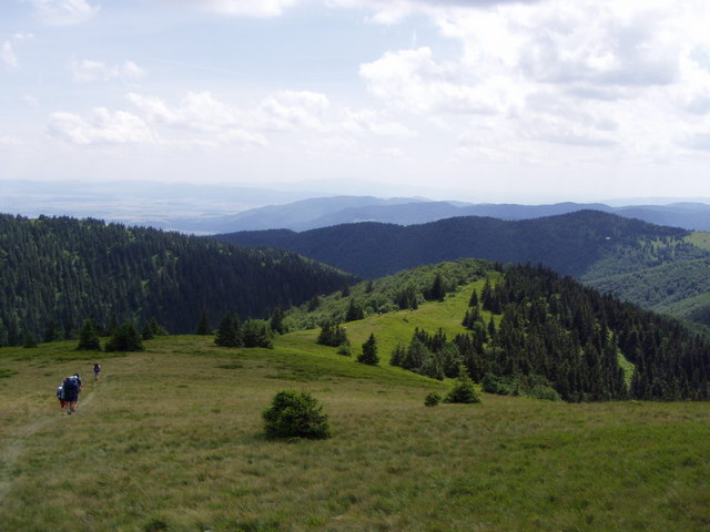 Obrázek