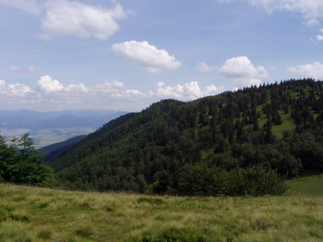 Obrázek