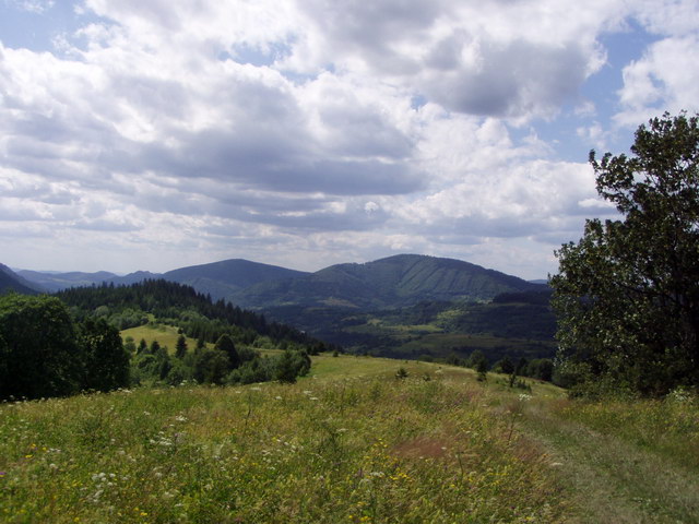 Obrázek